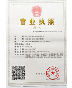 榮譽(yù)資質(zhì)